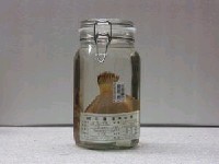 藏品(木葉鰈)的圖片